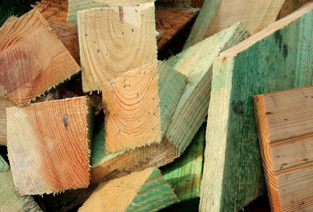 SFU biomass plant transforms wood waste into energy
